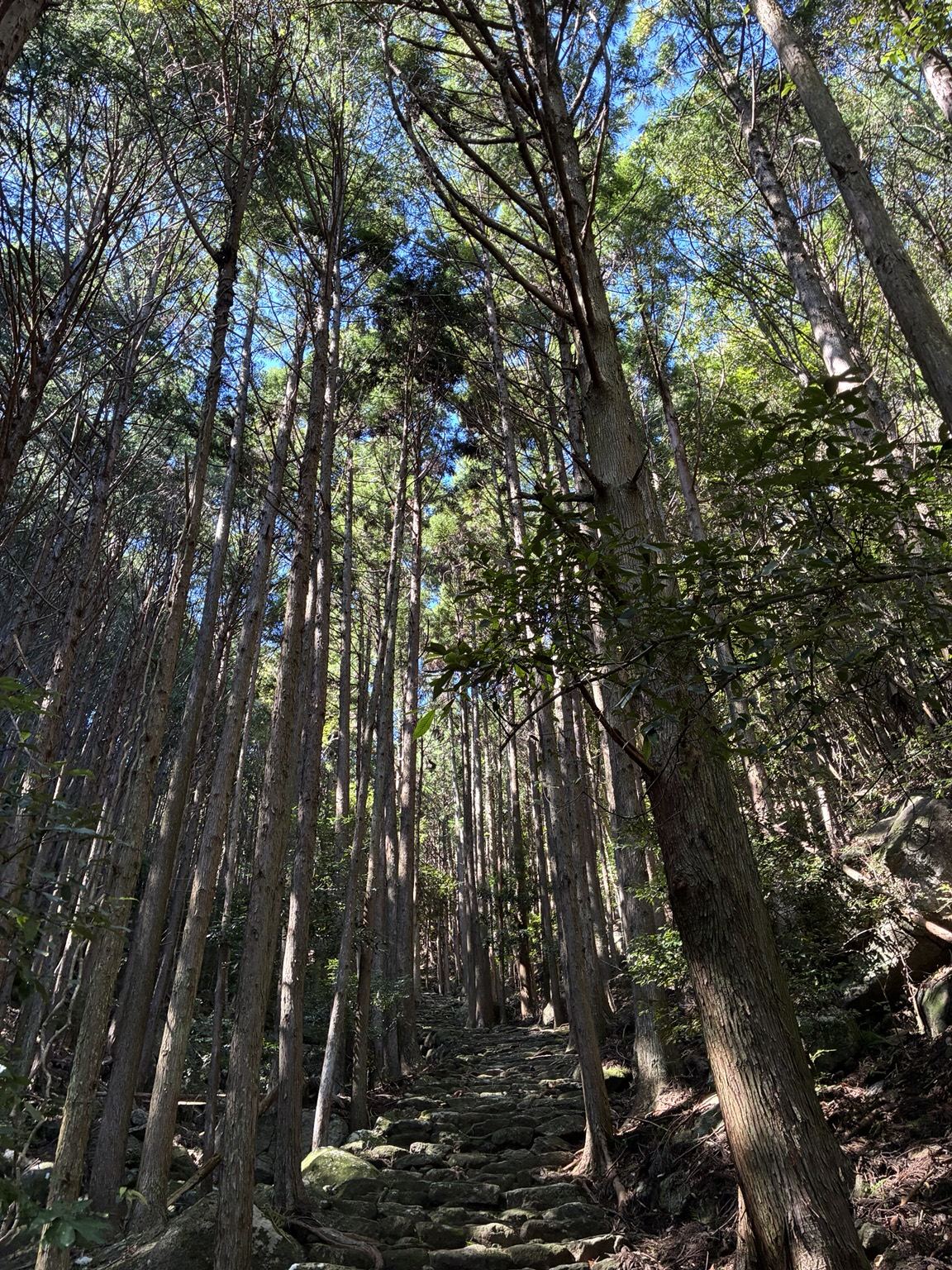 Matsumoto Pass Walk: A Family Guide to the Kumano Kodo Iseji
